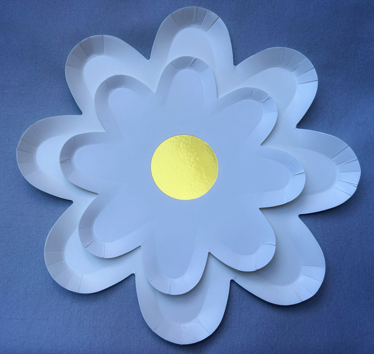Extra Place Settings - The Ditsy Daisy
